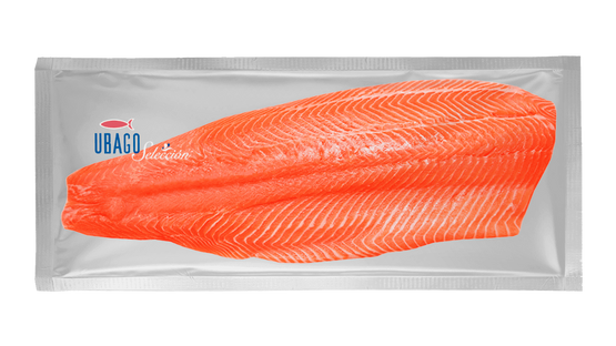 salmon